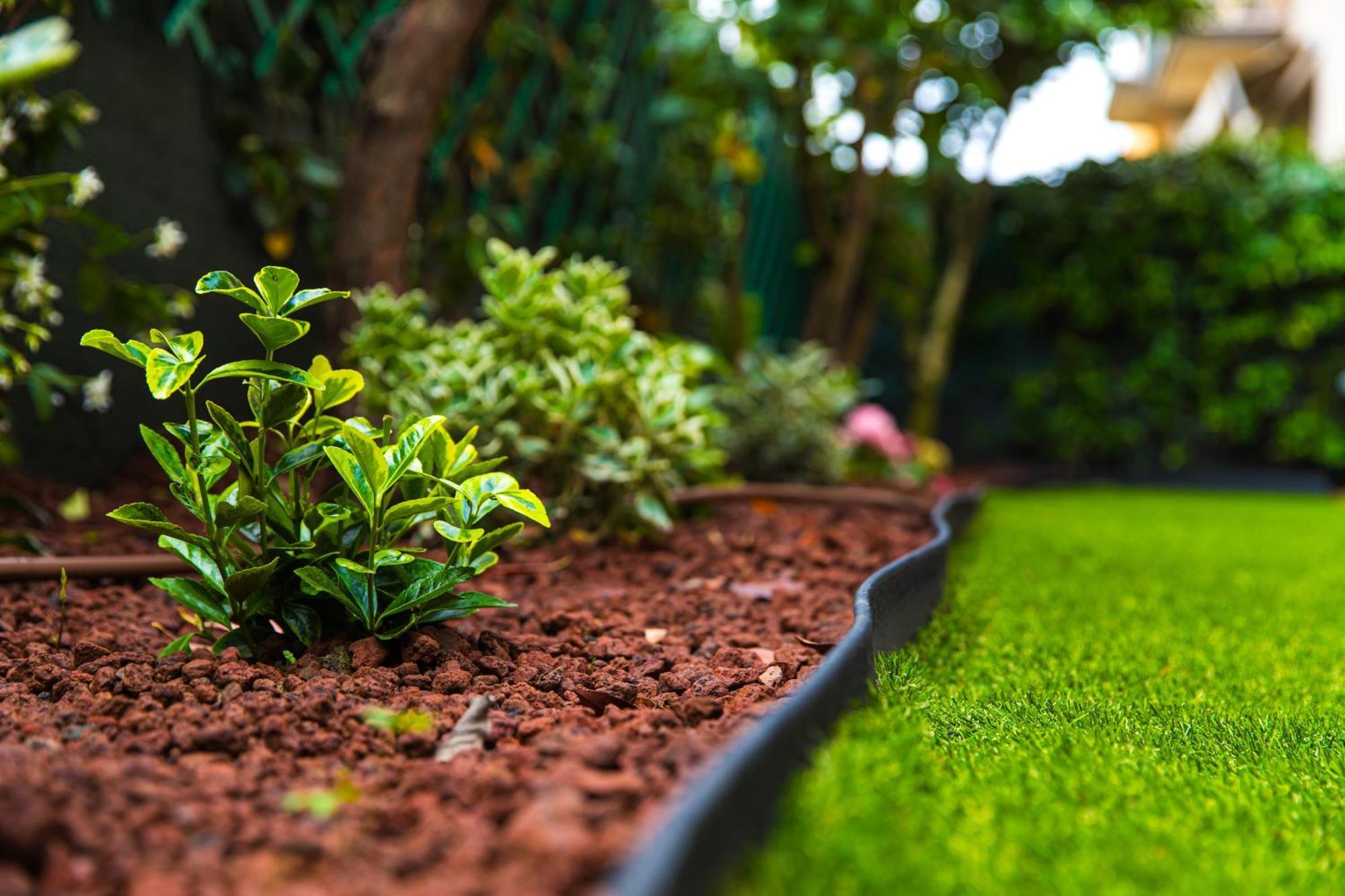 Urban Cottage Free Parking - Private Garden Bologna Exterior foto